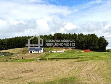 Zdjęcie ogłoszenia - 15965413