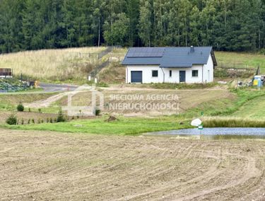 Zdjęcie ogłoszenia - 15965413