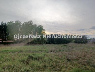 Zdjęcie ogłoszenia - 15965466