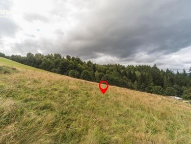 Zdjęcie ogłoszenia - 15965551