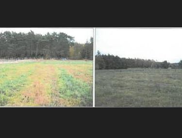 Zdjęcie 15965645 - 1