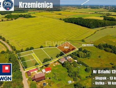 Zdjęcie 15965866 - 1