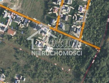Zdjęcie 15966016 - 2