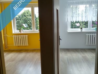 Zdjęcie ogłoszenia - 15966049