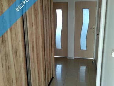 Zdjęcie ogłoszenia - 15966049