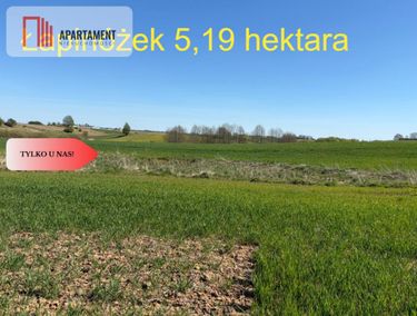 Zdjęcie ogłoszenia - 15966156