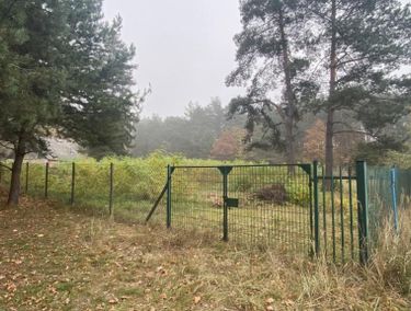 Zdjęcie ogłoszenia - 15966204