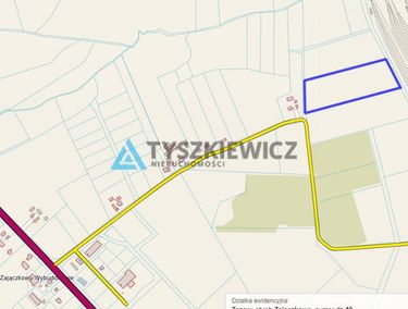 Zdjęcie ogłoszenia - 15966222