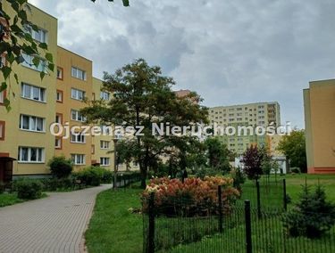 Zdjęcie 15966340 - 1