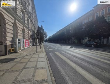 Zdjęcie ogłoszenia - 15966557