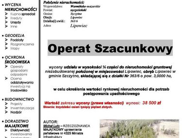 Zdjęcie ogłoszenia - 15966568