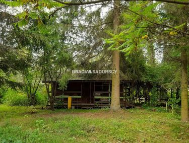 Zdjęcie 15966612 - 5