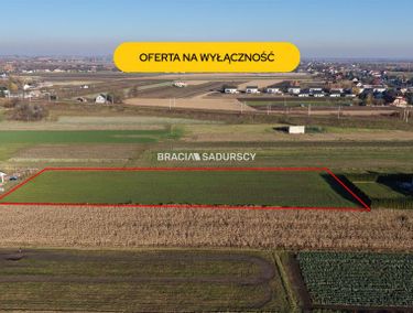 Zdjęcie ogłoszenia