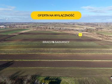 Zdjęcie ogłoszenia