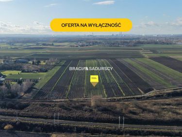 Zdjęcie ogłoszenia