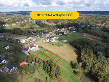 Zdjęcie 15966701 - 2