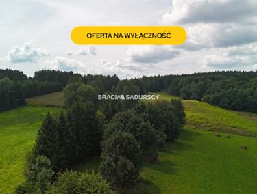 Zdjęcie ogłoszenia