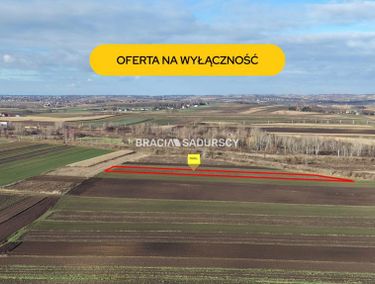 Zdjęcie ogłoszenia