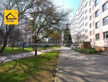 Zdjęcie ogłoszenia - 15966919