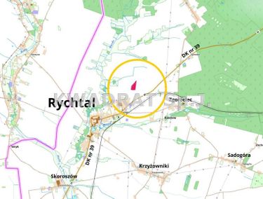 Zdjęcie ogłoszenia - 15966975