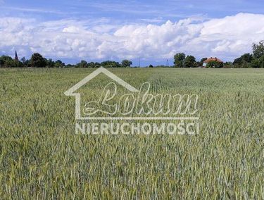 Zdjęcie 15967155 - 2