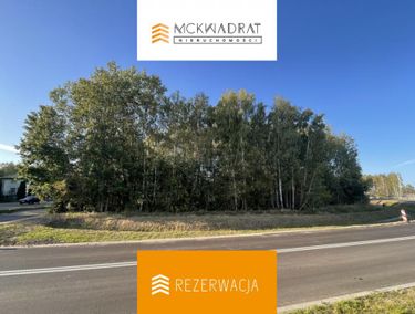 Zdjęcie ogłoszenia