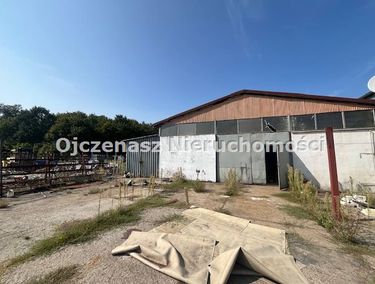 Zdjęcie ogłoszenia