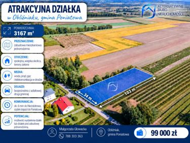 Zdjęcie 15967599 - 1