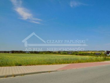 Zdjęcie ogłoszenia - 15967632