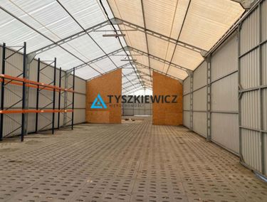 Zdjęcie 15968008 - 1