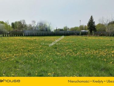 Zdjęcie ogłoszenia - 15968092