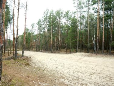 Zdjęcie ogłoszenia - 15968655