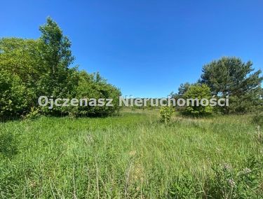 Zdjęcie ogłoszenia