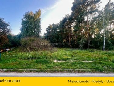 Zdjęcie ogłoszenia - 15969012