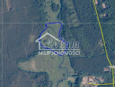 Zdjęcie 15969085 - 2