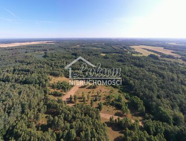 Zdjęcie 15969086 - 1