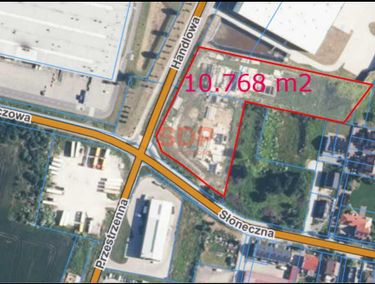 Zdjęcie 15969098 - 4