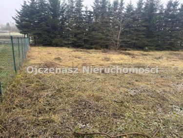 Zdjęcie ogłoszenia - 15969118