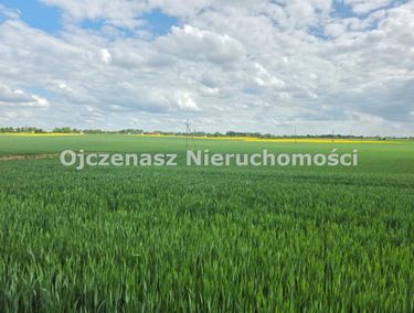Zdjęcie ogłoszenia