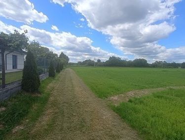 Zdjęcie ogłoszenia - 15969212