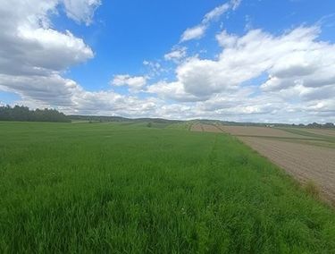 Zdjęcie ogłoszenia