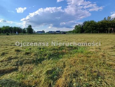 Zdjęcie 15969239 - 1