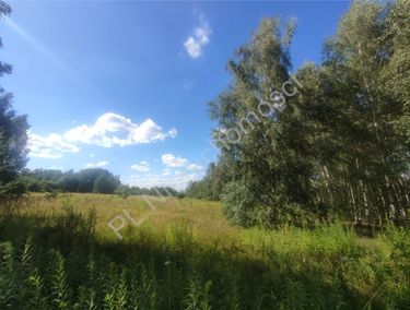 Zdjęcie ogłoszenia