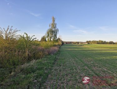 Zdjęcie ogłoszenia
