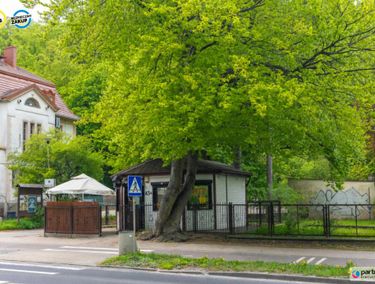 Zdjęcie ogłoszenia