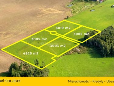 Zdjęcie 15970145 - 5
