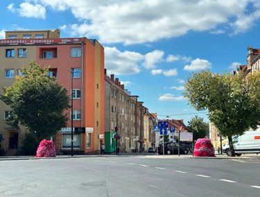 Zdjęcie ogłoszenia