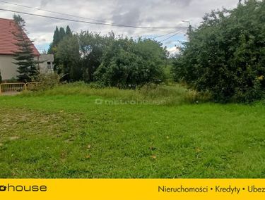 Zdjęcie 15970477 - 5