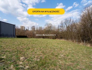 Zdjęcie 15971079 - 2
