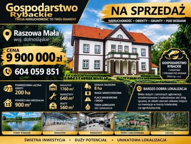 Zdjęcie 15971950 - 4